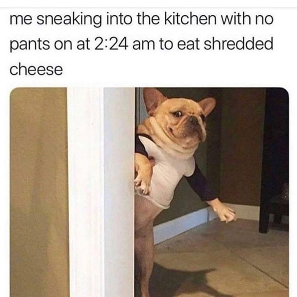 Meet your Posher, Camden - Picture 1 of 1